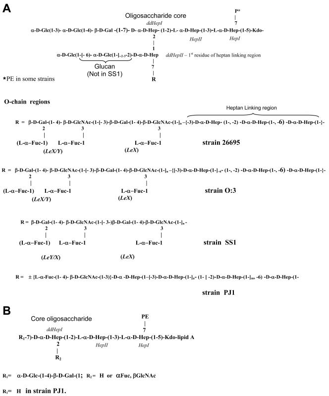 FIG. 6.