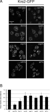 FIGURE 6: