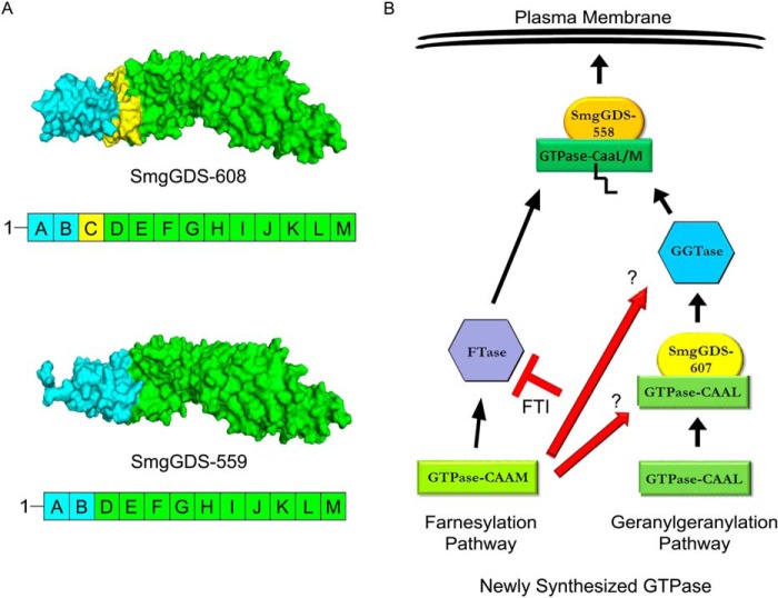 FIGURE 6.