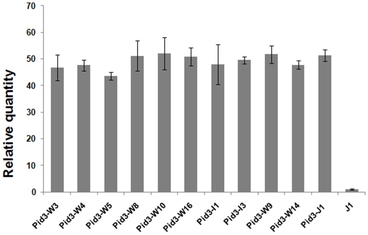 Figure 5