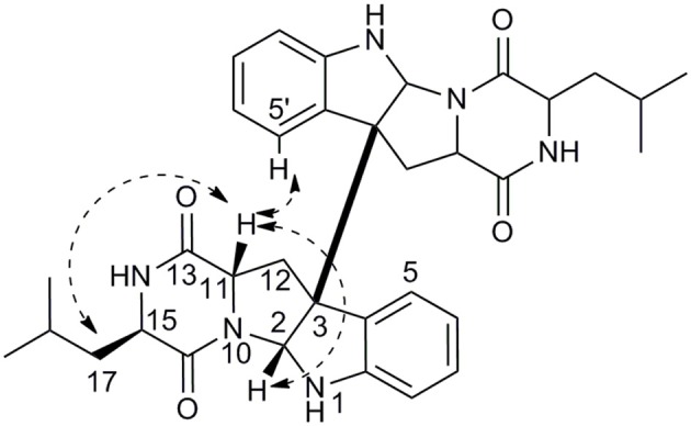 Figure 6