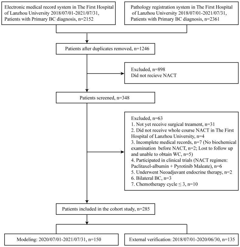 Figure 1