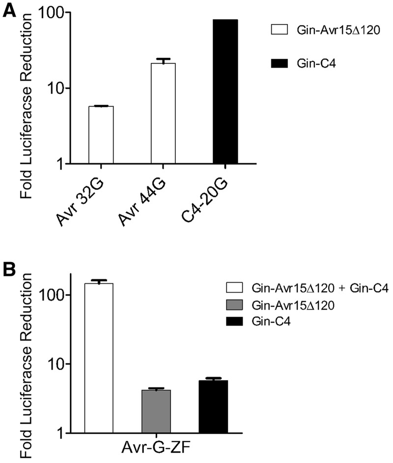 Figure 5.