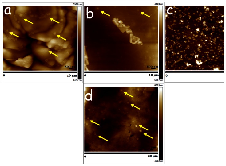 Figure 4