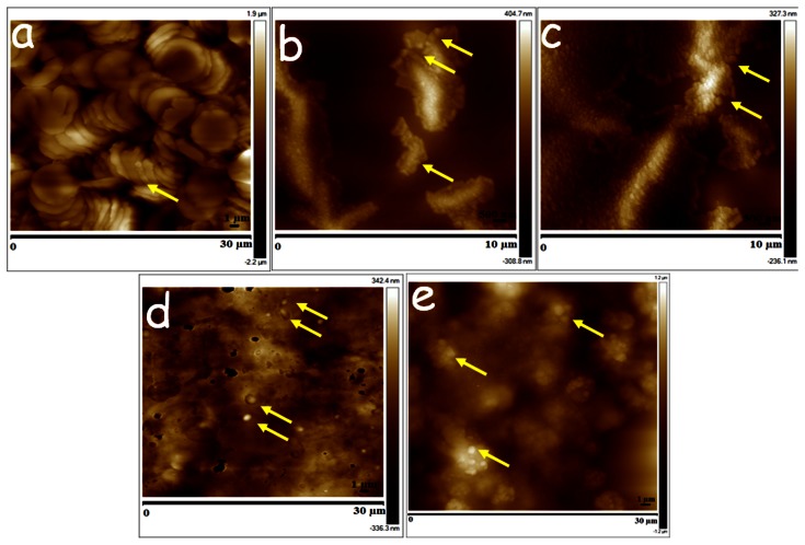 Figure 5