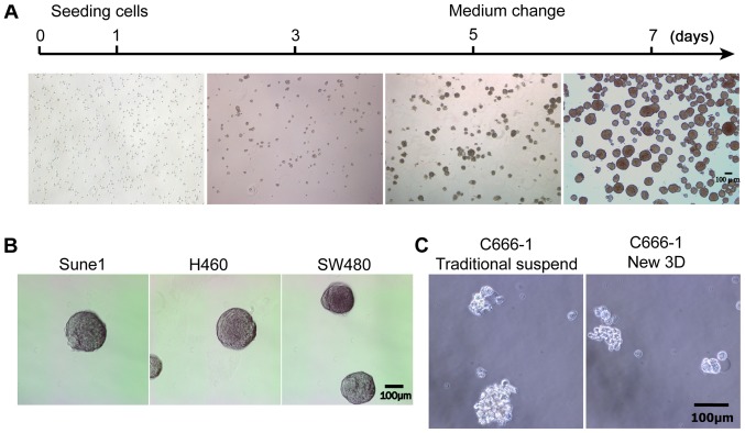 Figure 2.