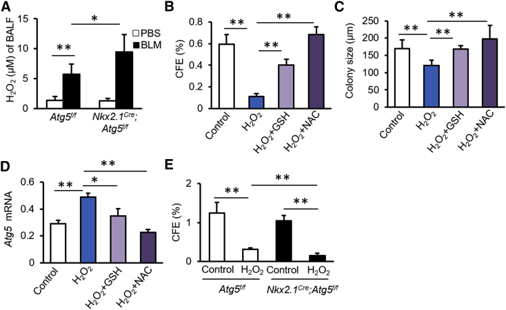 Figure 7