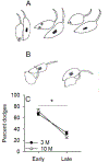 Figure 6: