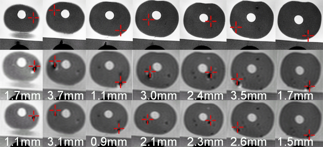 Fig. 6