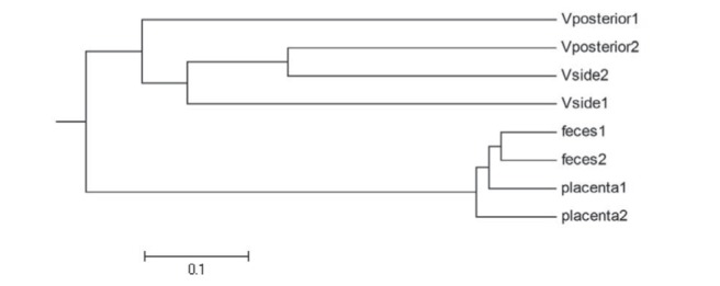 Figure 2)