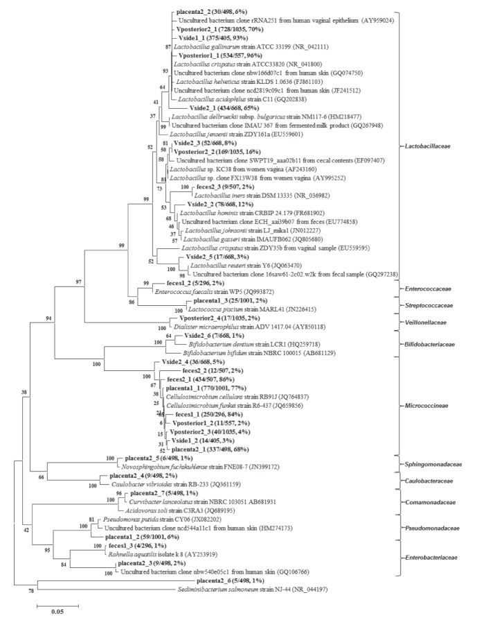 Figure 5)