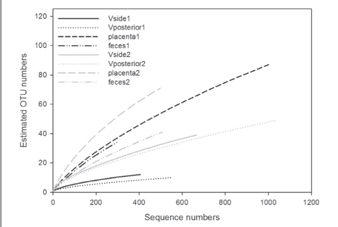 Figure 1)