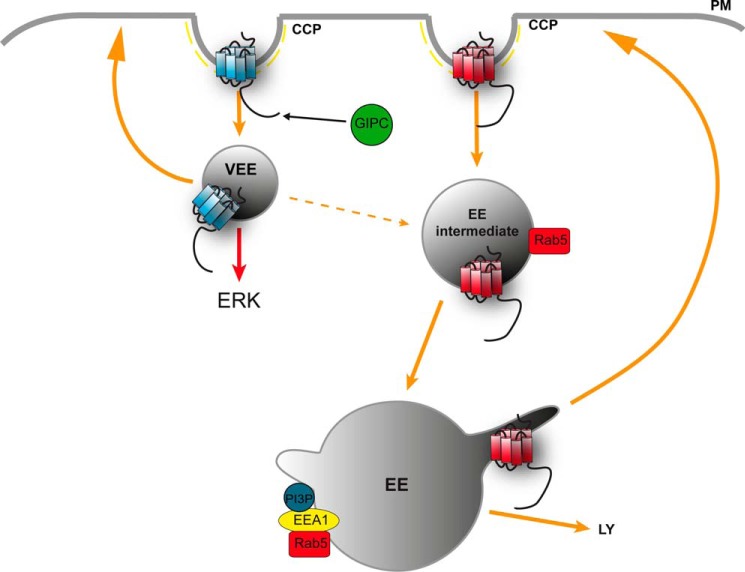 FIGURE 11.