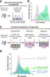 Figure 3: