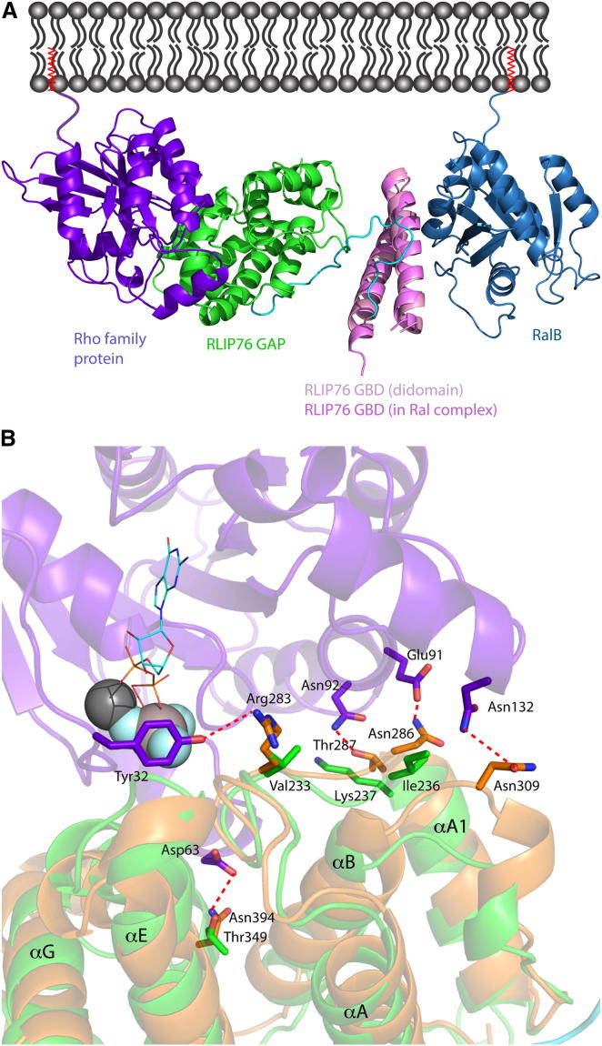 Figure 5