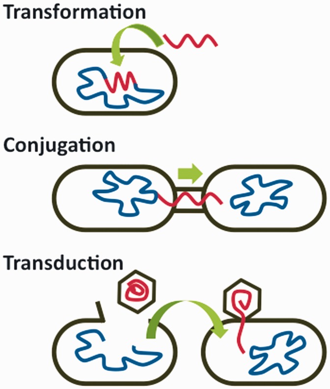 Figure 1.