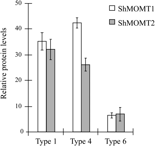 Figure 6.