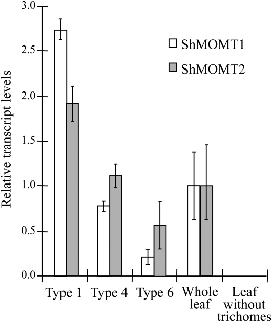 Figure 5.