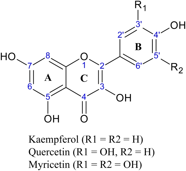 Figure 1.