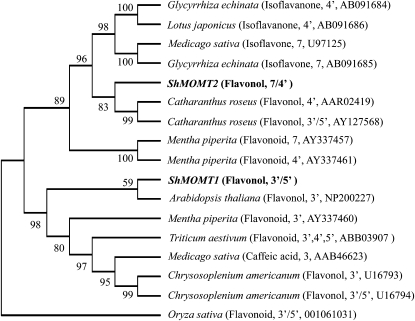 Figure 4.