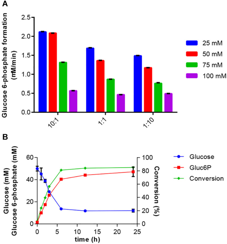 FIGURE 4