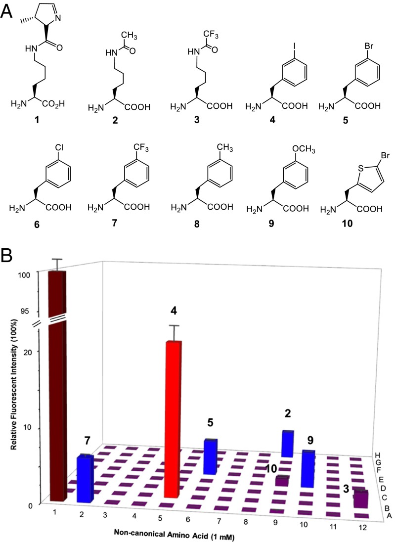 Fig. 1.