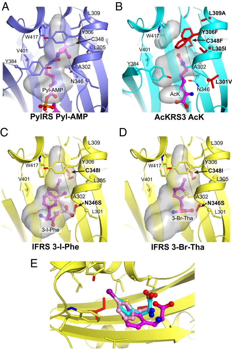 Fig. 3.