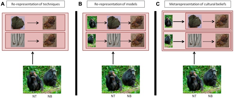 FIGURE 3