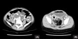 Fig. 3.