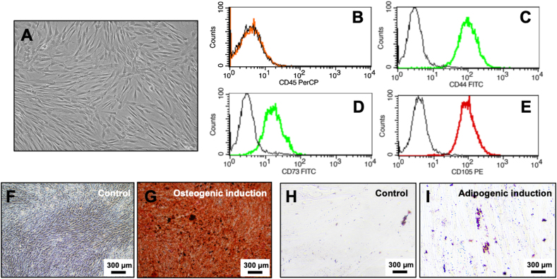 Figure 1