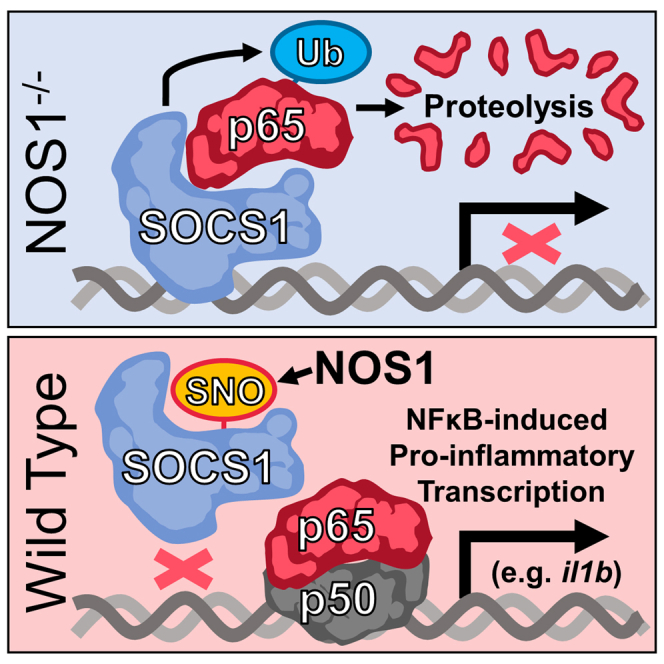 graphic file with name fx1.jpg