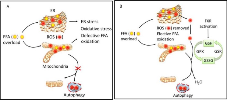 FIGURE 11.