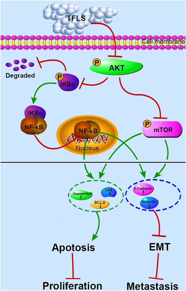 FIGURE 11