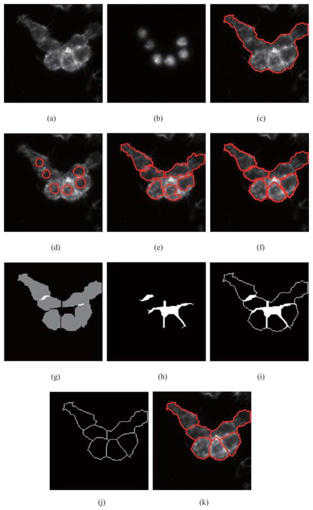 Fig. 9