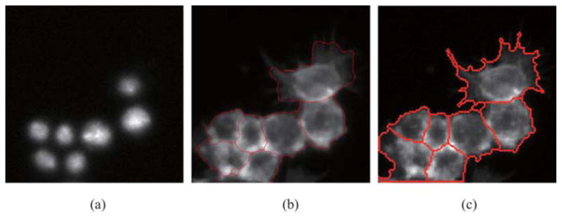 Fig. 12