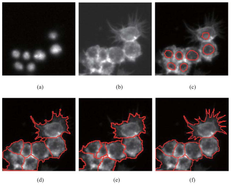 Fig. 10