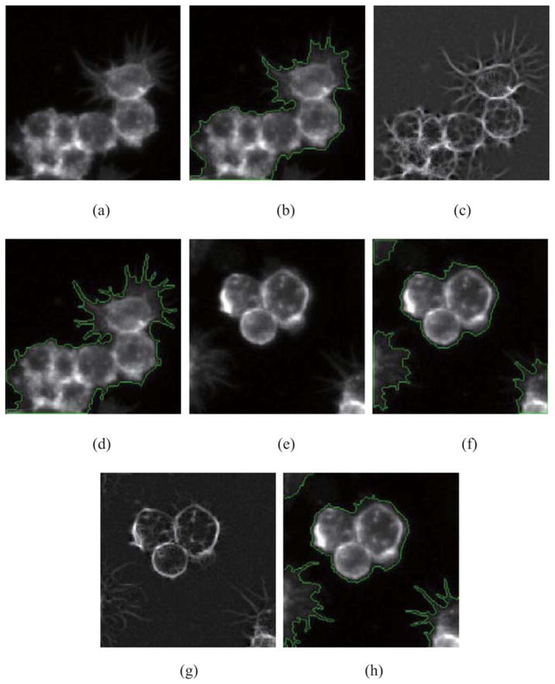 Fig. 4