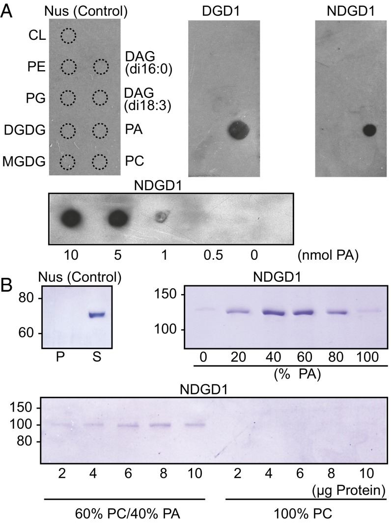 Fig. 2.