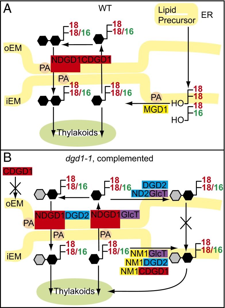 Fig. 4.