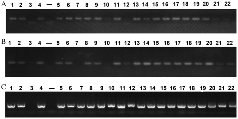 Figure 1.