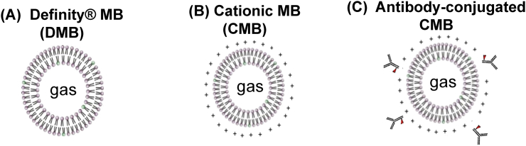 Fig. 1