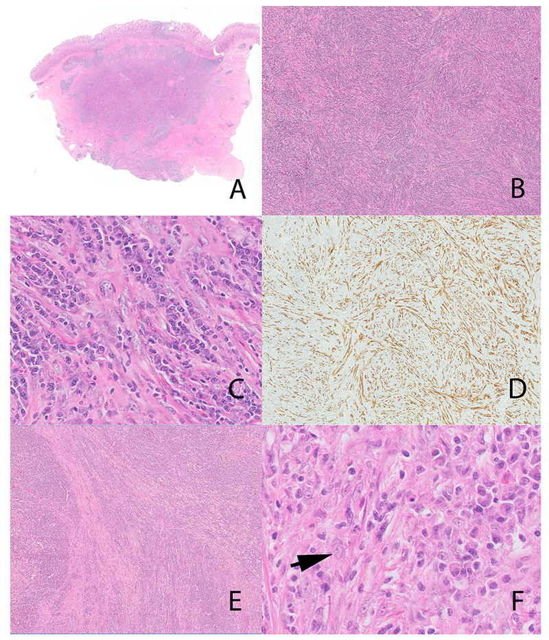 Figure 4: