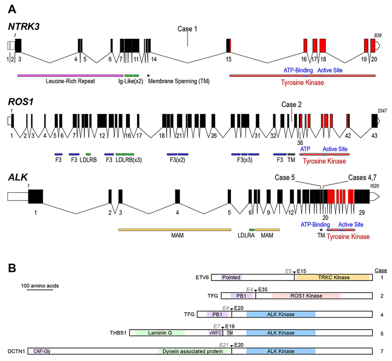 Figure 5: