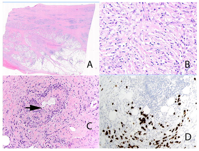 Figure 6: