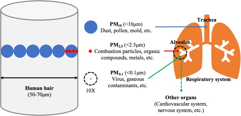 FIGURE 1