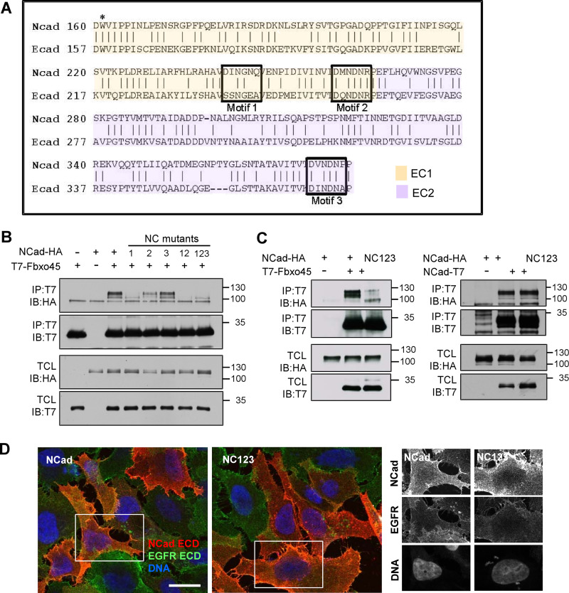 FIG 4