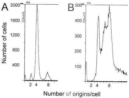 FIG. 5.