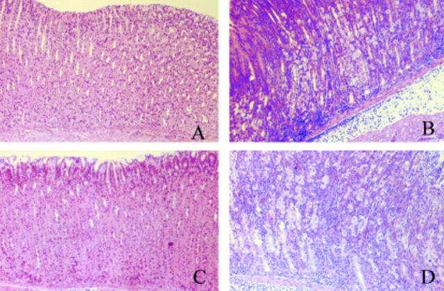 Figure 4  