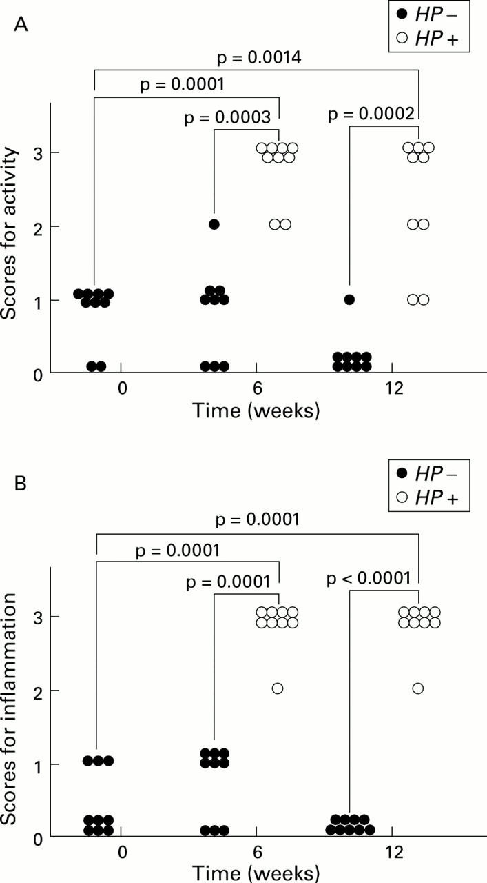 Figure 5  