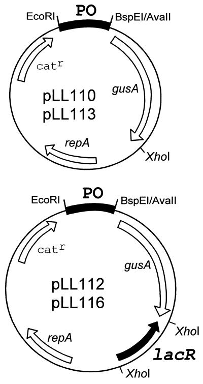 FIG. 5.